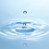 The Resonance of Peace: A Quantum Meditation for Healing