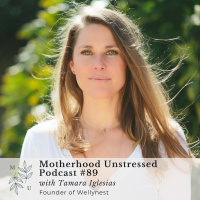 How to Be a Drastically Better Parent through Engaging in Self-Care, Healthy Boundaries + Conscious Parenting with Wellynest Founder Tamara Iglesias