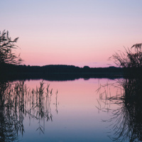 Breathe, Restore, and Connect to Your Truth - Guided Meditation