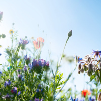 Embrace Your Perfect Imperfections: A Guided Meditation for Self-Forgiveness and Embracing a Beautiful Life