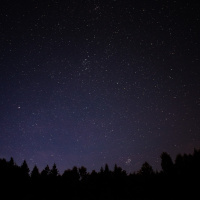 Feel Connected, Happy and Whole Guided Meditation