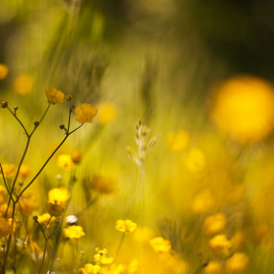 Motherhood Unstressed