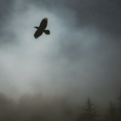 Motherhood Unstressed