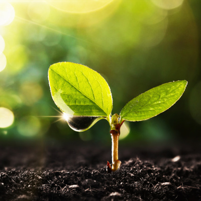 Motherhood Unstressed