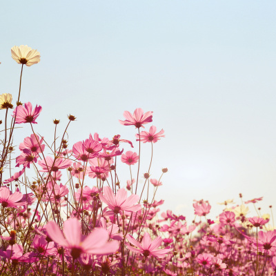 Motherhood Unstressed