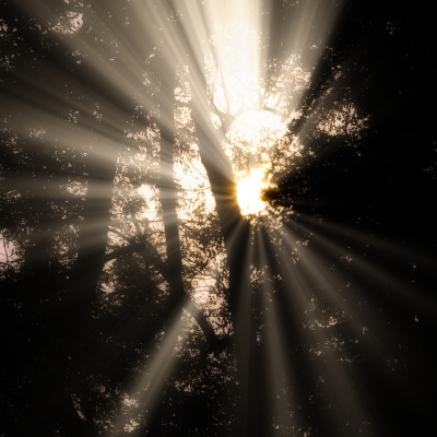 Motherhood Unstressed