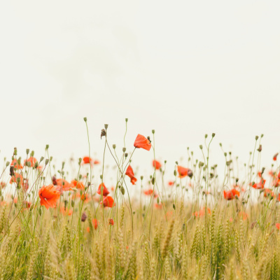 Motherhood Unstressed