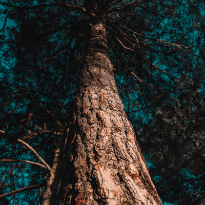 Motherhood Unstressed