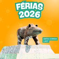 Férias 2026 - Anta Gorda Cast