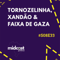 S08E33 - Tornozelinha, Xandão e Faixa de Gaza