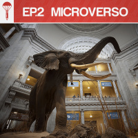 Museus | C02 | Micro Universo