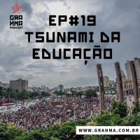 Resenha – Tsunami da Educação