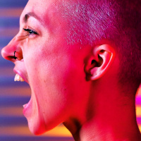 Todo Dia Teorizando Sobre a Biologia Feminina (Microquimerismo e Telegonia)