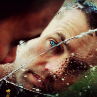 Todo Dia o Sonho de Um é o Pesadelo de Outro