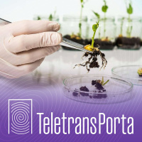Plantas high-tech podem salvar o planeta da falta de alimentos