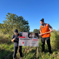 Cocal do Sul intensifica ações contra abandono de animais
