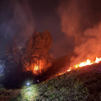 Incêndio em vegetação atinge cerca de 8,7 mil m² no bairro Barro Branco, em Lauro Müller