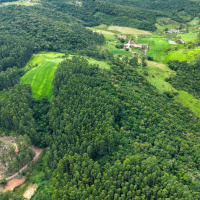 Governo de SC abre inscrições para o programa Mais Verde com pagamento de até R$ 7,5 mil a produtores rurais