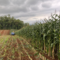 Urussanga realiza 1ª Conferência Municipal de Desenvolvimento Rural nesta sexta-feira