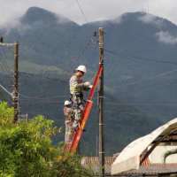 Quedas de energia em Lauro Müller são causadas, em sua maioria, por vegetação na rede, afirma Celesc