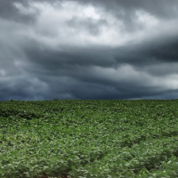El Niño coloca agricultores em alerta para chuvas intensas no segundo semestre