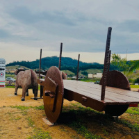 Pedras Grandes inaugura monumento que pode se tornar o carro de boi mais pesado do mundo