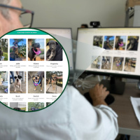 Prefeitura lança página de “Adoção Responsável” para incentivar novos lares a cães e gatos em São Ludgero