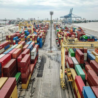 Tensões internacionais pressionam agronegócio de Santa Catarina
