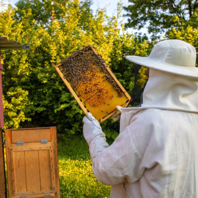 Rádio Cruz De Malta Am 830