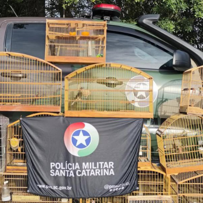 Rádio Cruz De Malta Am 830