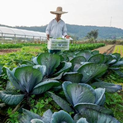 Rádio Cruz De Malta Am 830