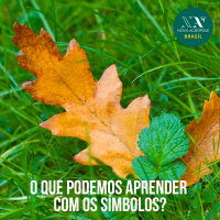 O que podemos aprender com os símbolos?