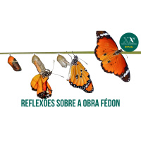 Reflexões sobre a obra Fédon
