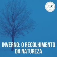 Inverno: o recolhimento da Natureza