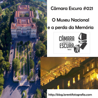 O Museu Nacional e a perda da Memória