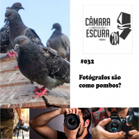 Fotógrafos são como Pombos? As vezes sim