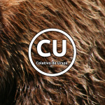 Coletivo De Ursos
