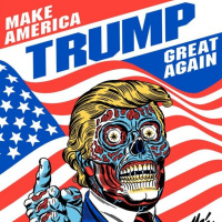 The Union 12 (2020) The Echo Chamber Edition