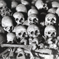 Population Control (2008)