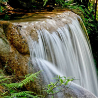 PE ANTONIO JOSÉ - SALMO 22
