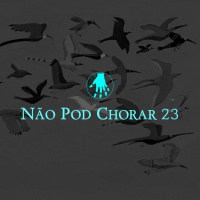 NPC 23: Como não perder o encantamento