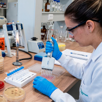 (299) Testes rápidos nas infeções respiratórias: reduzem os antibióticos?