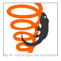 Tartarugas Até Lá Embaixo - Quarta Parede #19