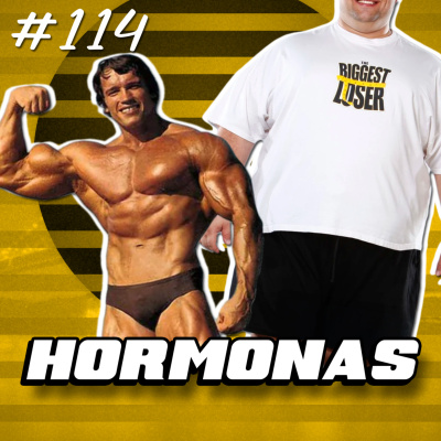 Dicas Do Salgueiro Podcast