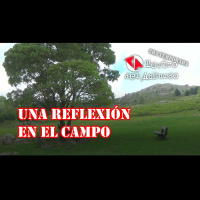 2x02 - Una Reflexión En El Campo