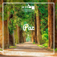 D021 - Paz