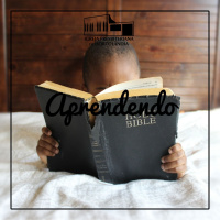 D036 - Aprendendo