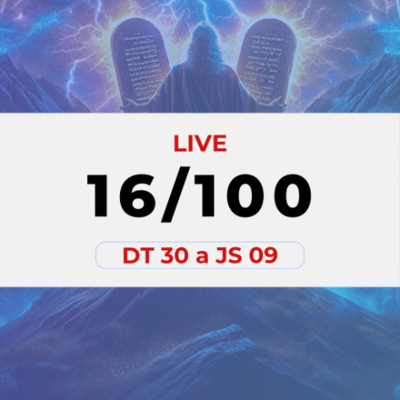 Bola De Neve Brasília