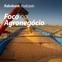 Perspectivas 2026 | Milho