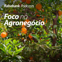 Expectativas para a nova safra de Laranja 2026/27